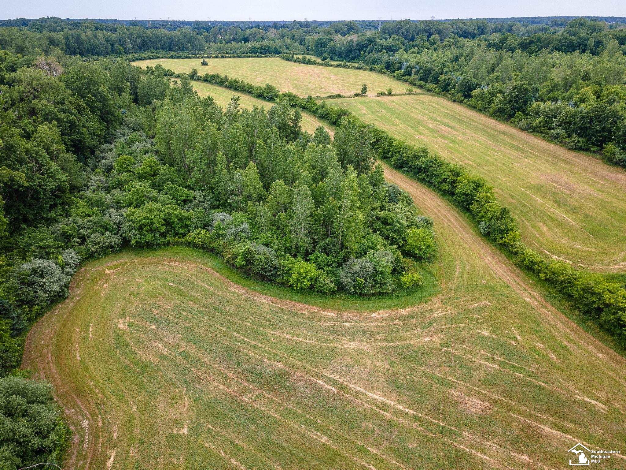 13999 Rightmire Road Dundee, MI 48131 - Photo 20 of 41