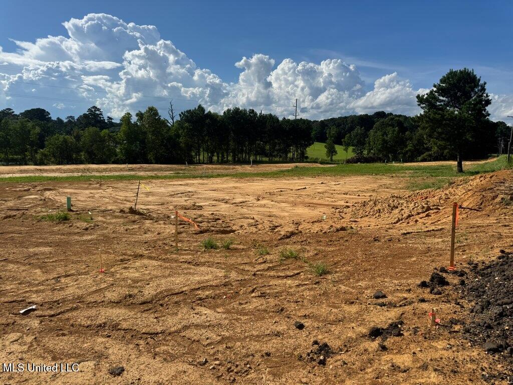 4821 Old Byram Road Jackson, MS 39212 - Photo 3 of 5 IMG_4896