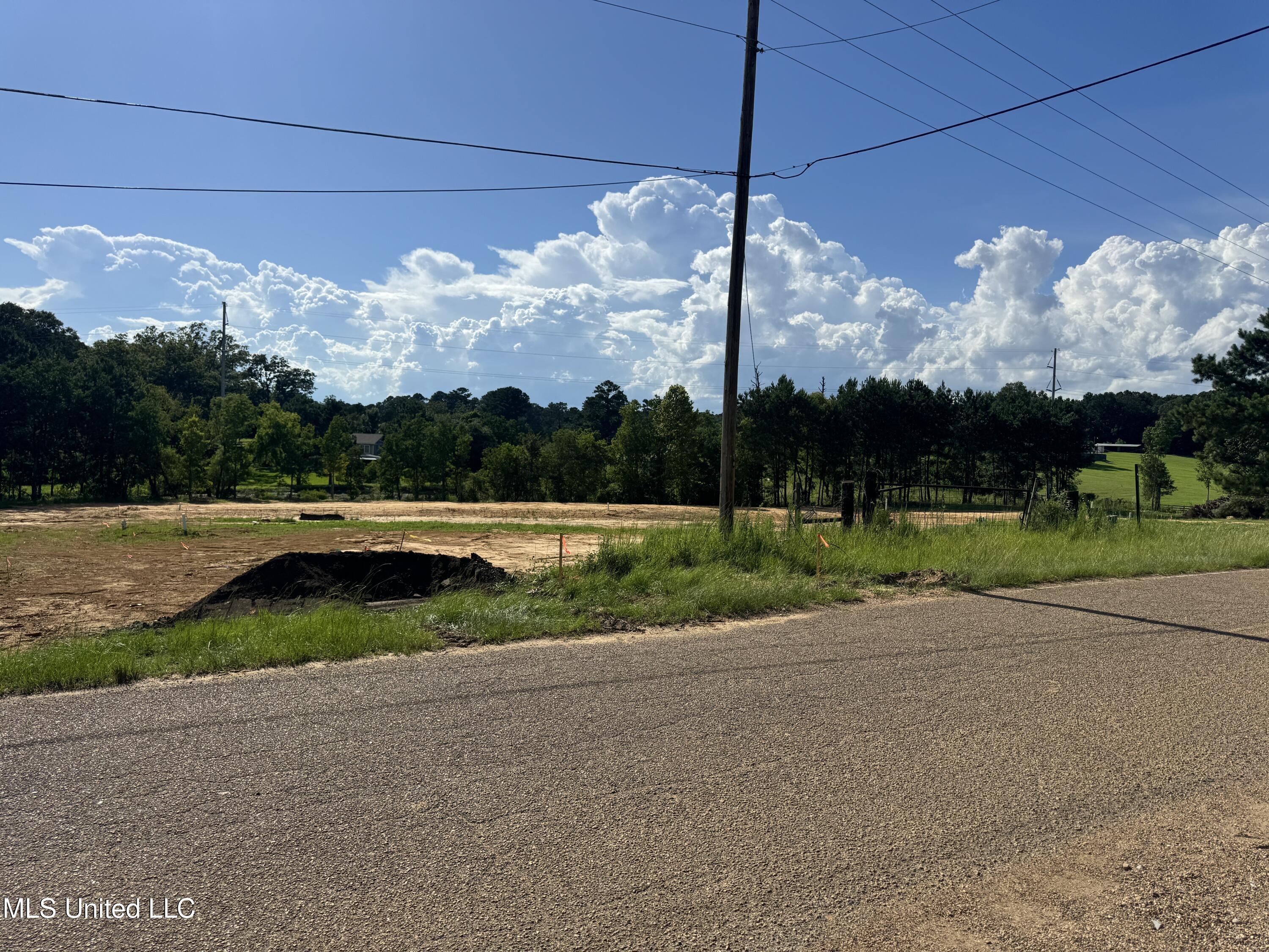 4821 Old Byram Road Jackson, MS 39212 - Photo 4 of 5 IMG_4894