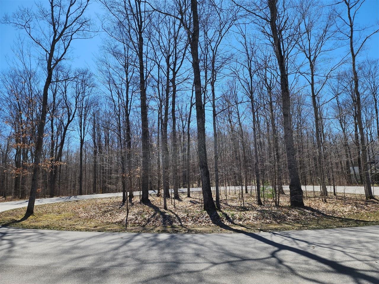 34 Goshawk Ridge Traverse City, MI 49684 - Photo 4 of 21