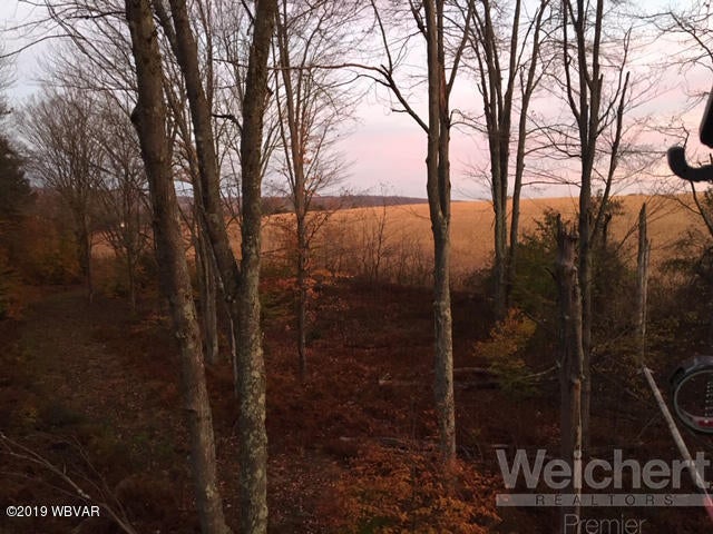 11280 Ellenton Mountain Road Shunk, PA 17768 - Photo 57 of 61 Land