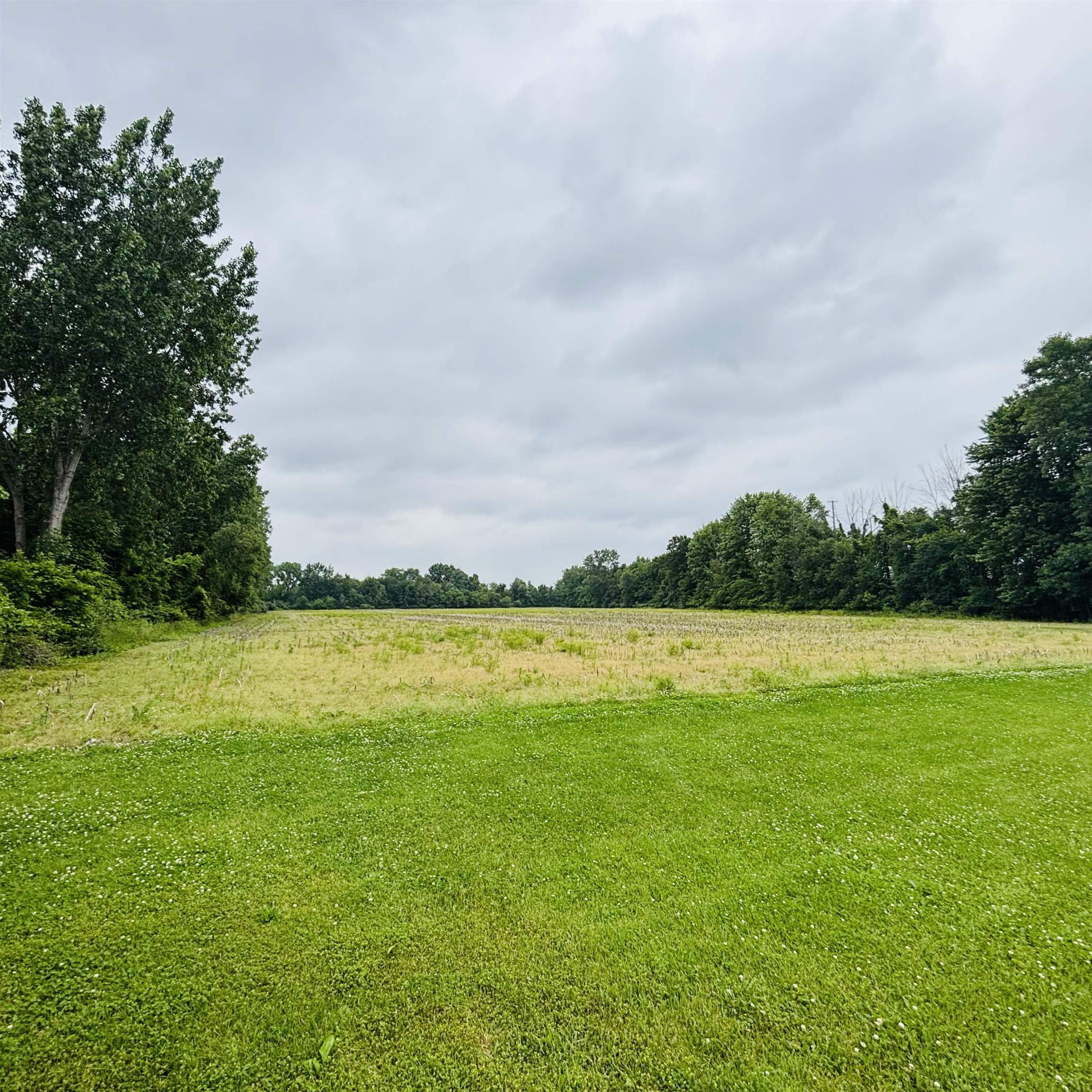 0 East Lapan Road Pinconning, MI 48650 - Photo 4 of 4