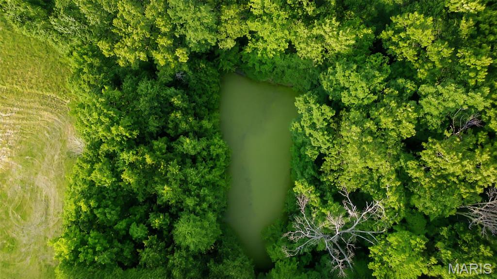 575 Schleeper Hollow Road Hardin, IL 62047 - Photo 13 of 61