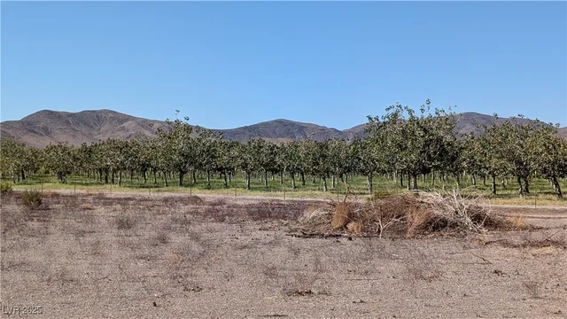 $295,000 | 2722 North Saddleback Drive, Amargosa Valley, NV 89020