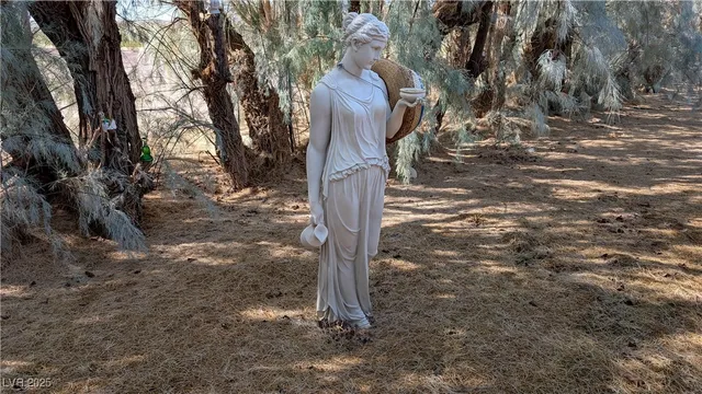 $295,000 | 2722 North Saddleback Drive, Amargosa Valley, NV 89020