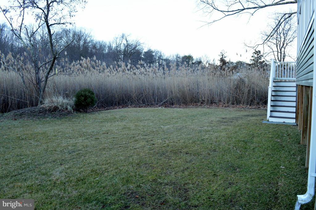 1629 Columbia Beach Road Shady Side, MD 20764 - Photo 20 of 21 Exterior (Rear)