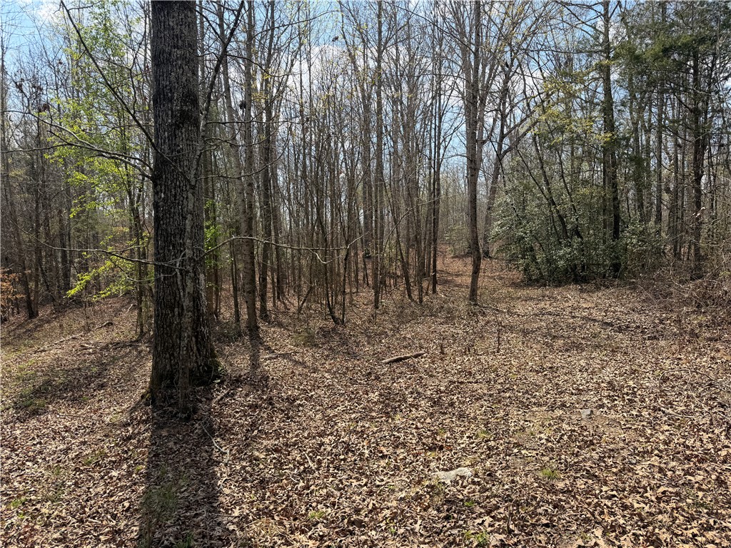 Lot 5 Pickens Drive Pendleton, SC 29670 - Photo 2 of 3 This expansive wooded lot provides a serene and private natural setting, perfect for building a secluded home.