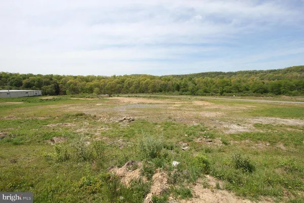 a view of a field with trees in the background