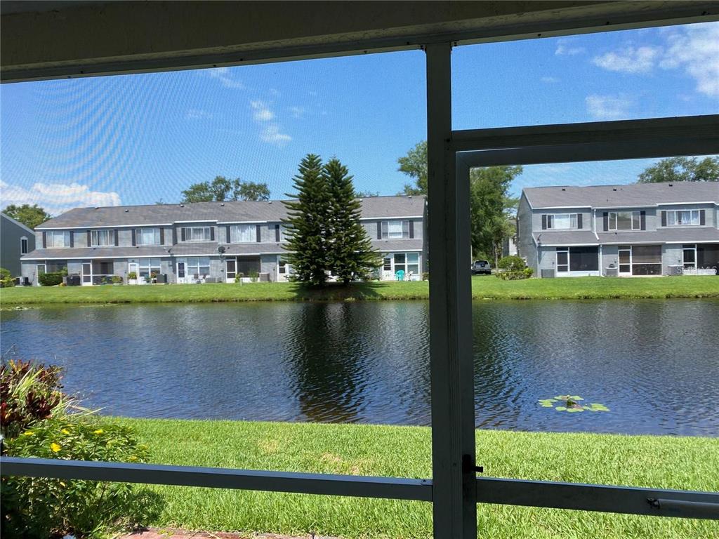 244 Countryside Key Boulevard Oldsmar, FL 34677 - Photo 3 of 15
