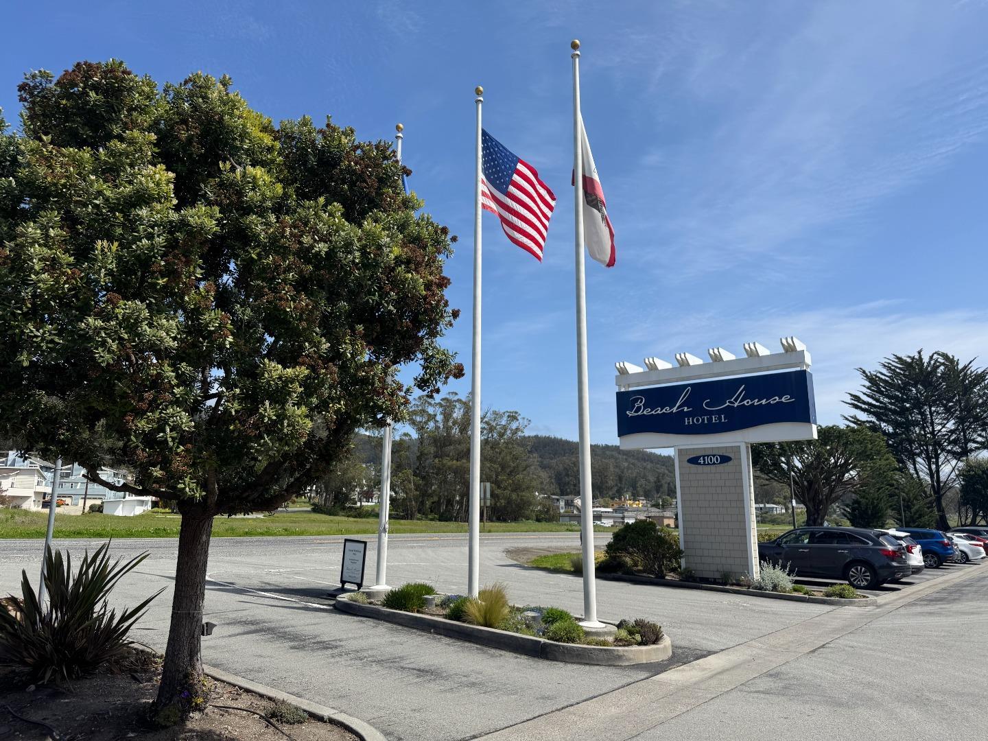 a view of a street with potted plants