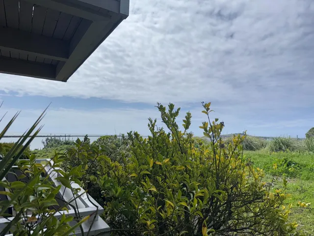 a backyard of a house