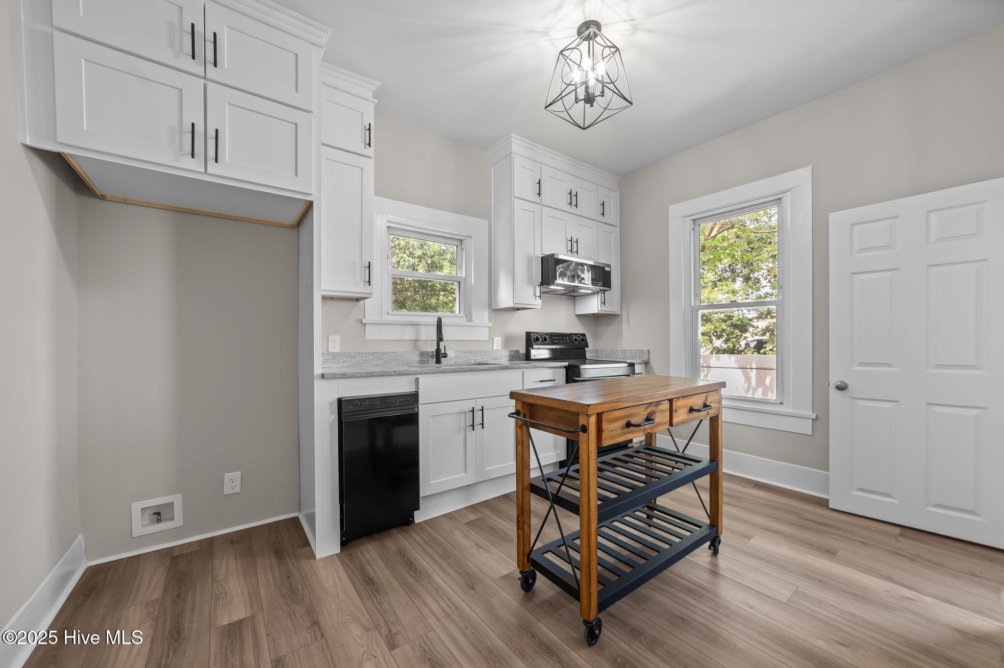 845 West 3rd Street Washington, NC 27889 - Photo 10 of 37 32-web-or-mls-LHV_0987