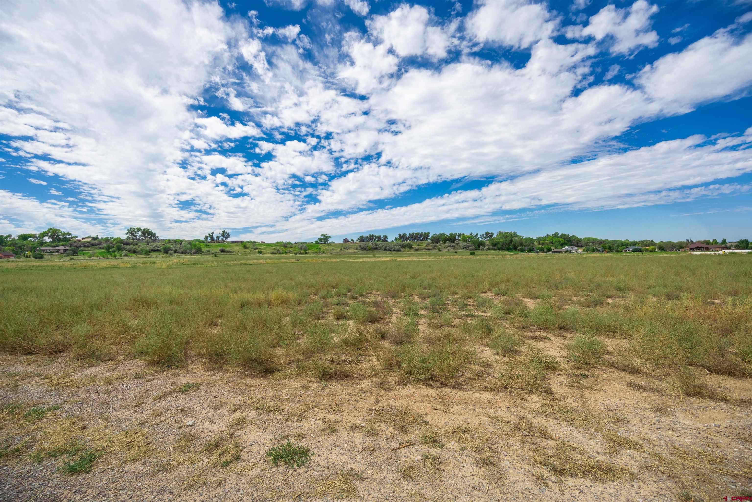 Tbd 6353rd Road Montrose, CO 81403 - Photo 1 of 4 a view of a lake with a big yard