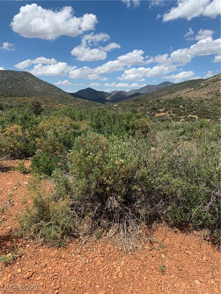 Lovell Summit Road Las Vegas, NV 89124 - Photo 16 of 19