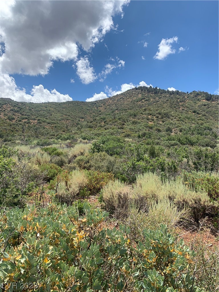 Lovell Summit Road Las Vegas, NV 89124 - Photo 18 of 19