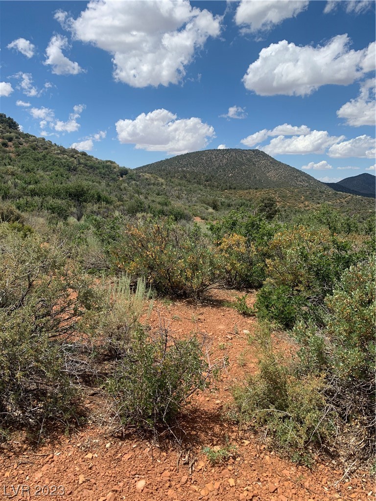 Lovell Summit Road Las Vegas, NV 89124 - Photo 19 of 19