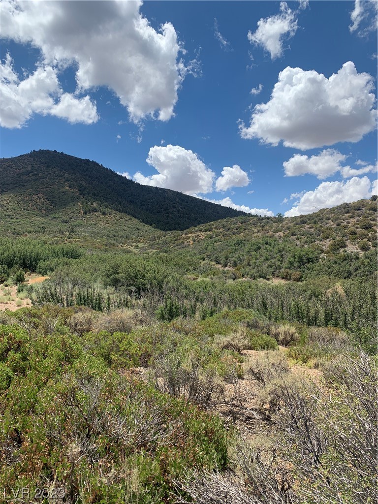 Lovell Summit Road Las Vegas, NV 89124 - Photo 3 of 19