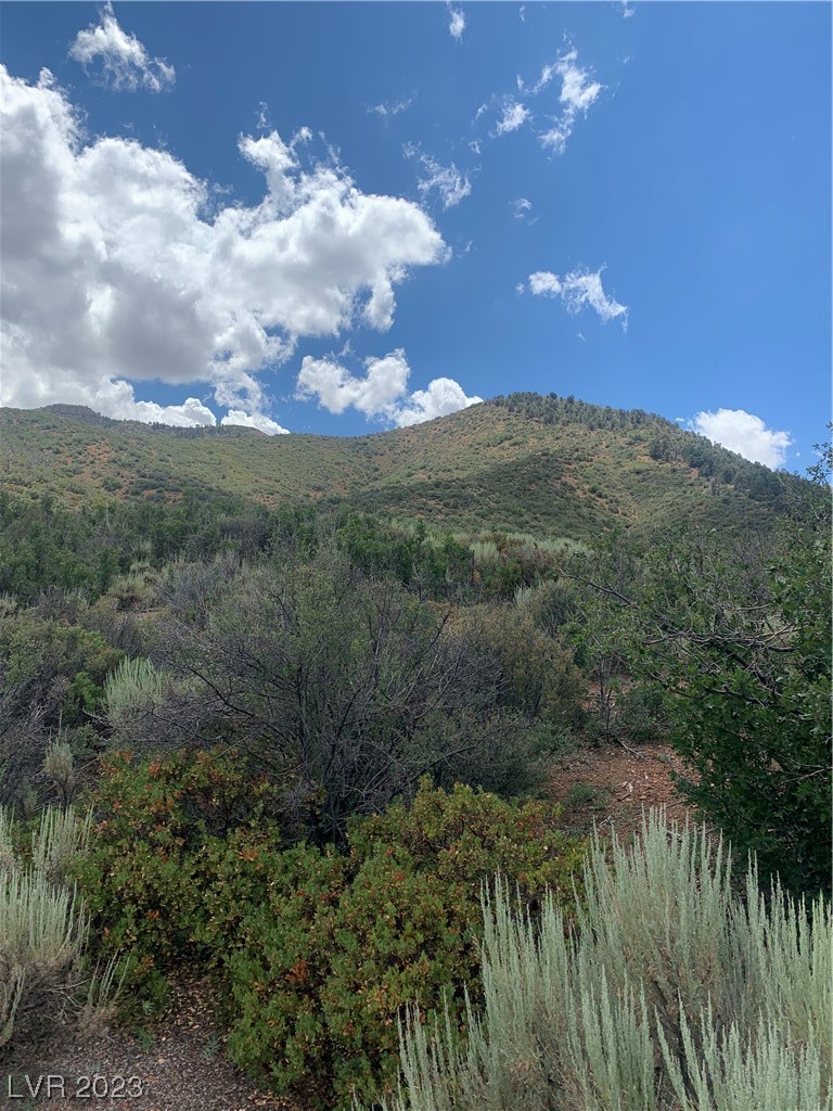 Lovell Summit Road Las Vegas, NV 89124 - Photo 8 of 19