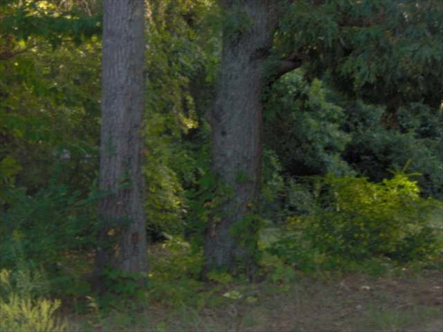1102 Asbury Park Road Anderson, SC 29625 - Photo 7 of 8 Gallery Image 7