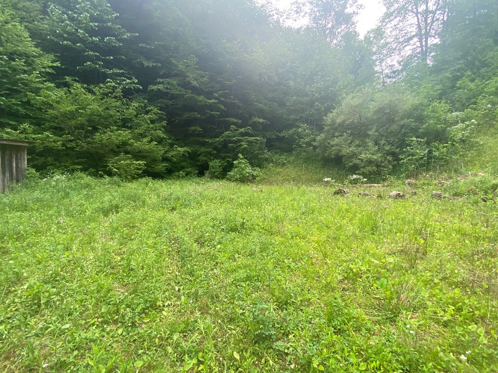 Tbd Arwood Hollow Road, Unit 46 Rowe, VA 24646 - Photo 6 of 30 Gallery Image 6