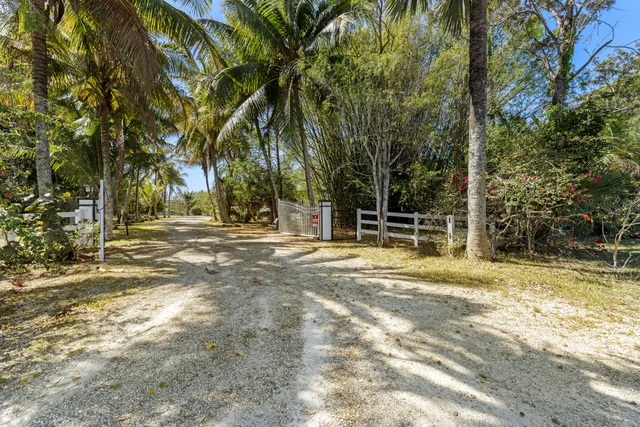 a view of a yard with large trees