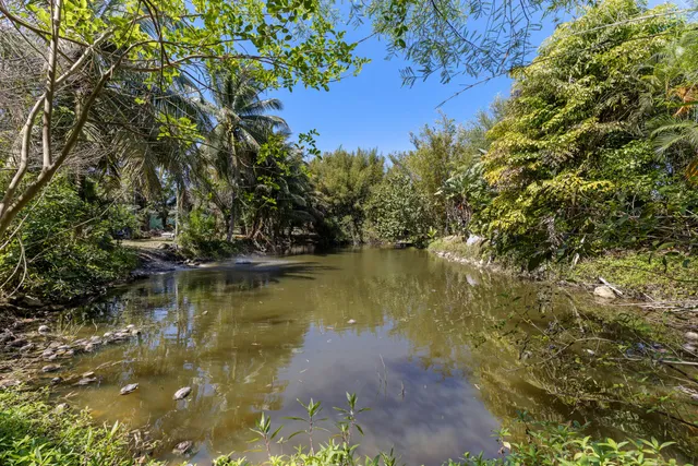 a view of a lake with a tree
