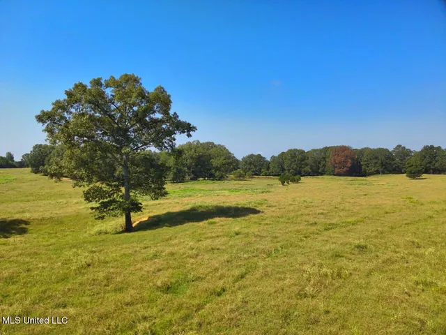 $300,000 | 740 Linwood Road, Vaughan, MS 39179