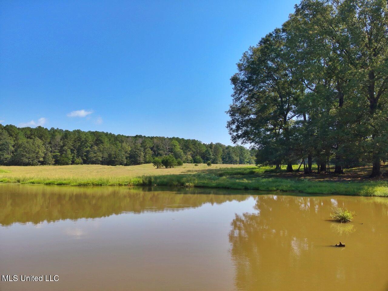 740 Linwood Road Vaughan, MS 39179 - Photo 2 of 12 DJI_20250904103436_0014_V Large