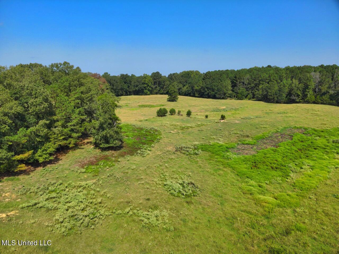 740 Linwood Road Vaughan, MS 39179 - Photo 4 of 12 DJI_20250904103155_0012_V Large