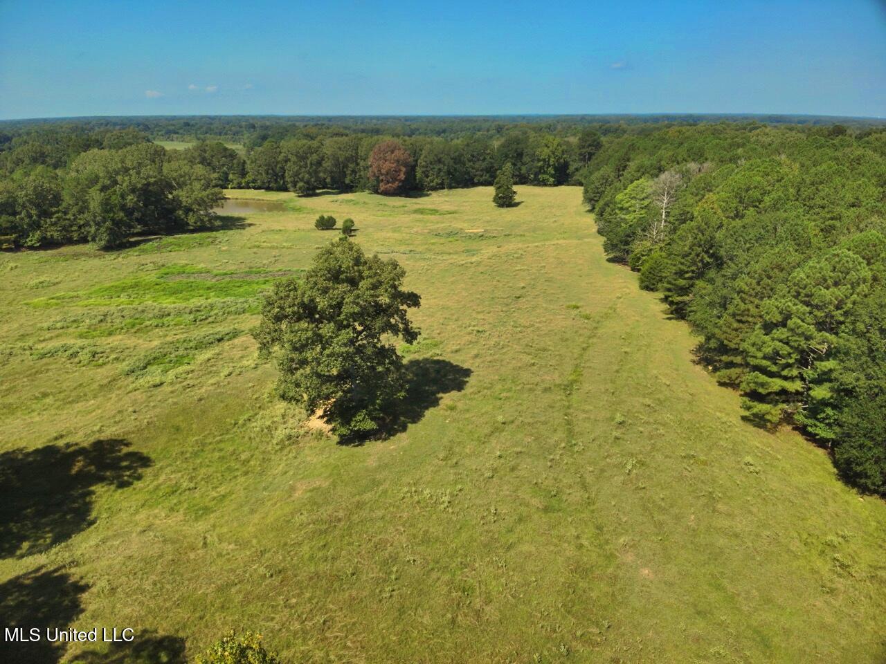 740 Linwood Road Vaughan, MS 39179 - Photo 5 of 12 DJI_20250904102956_0008_V Large
