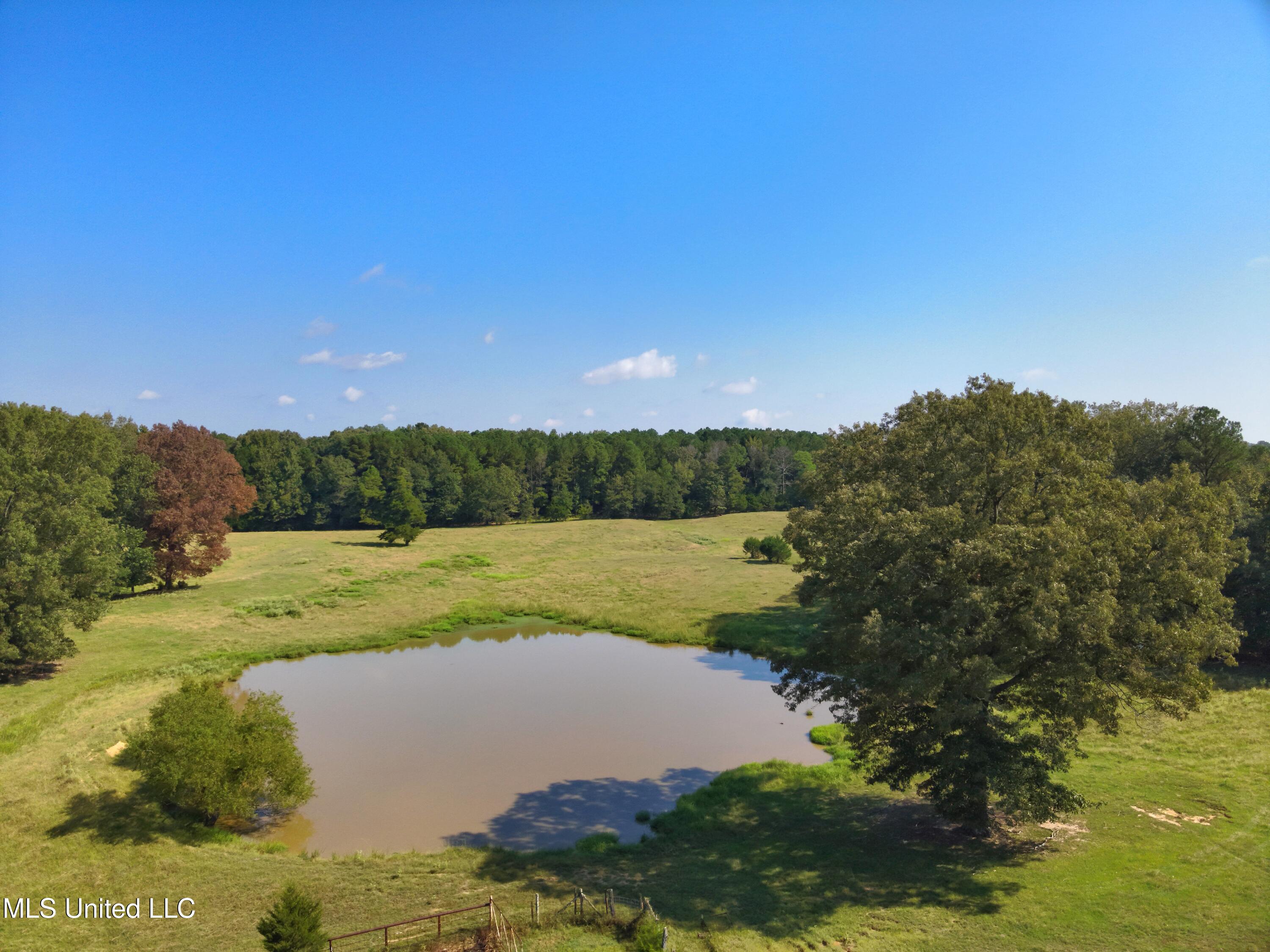 740 Linwood Road Vaughan, MS 39179 - Photo 6 of 12 DJI_20250904102637_0002_V