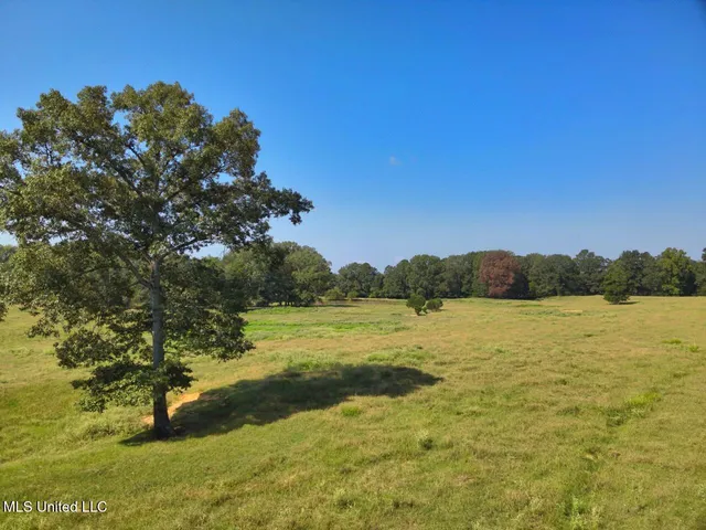 $300,000 | 740 Linwood Road, Vaughan, MS 39179