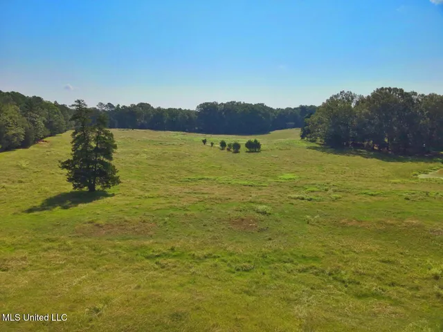 $300,000 | 740 Linwood Road, Vaughan, MS 39179