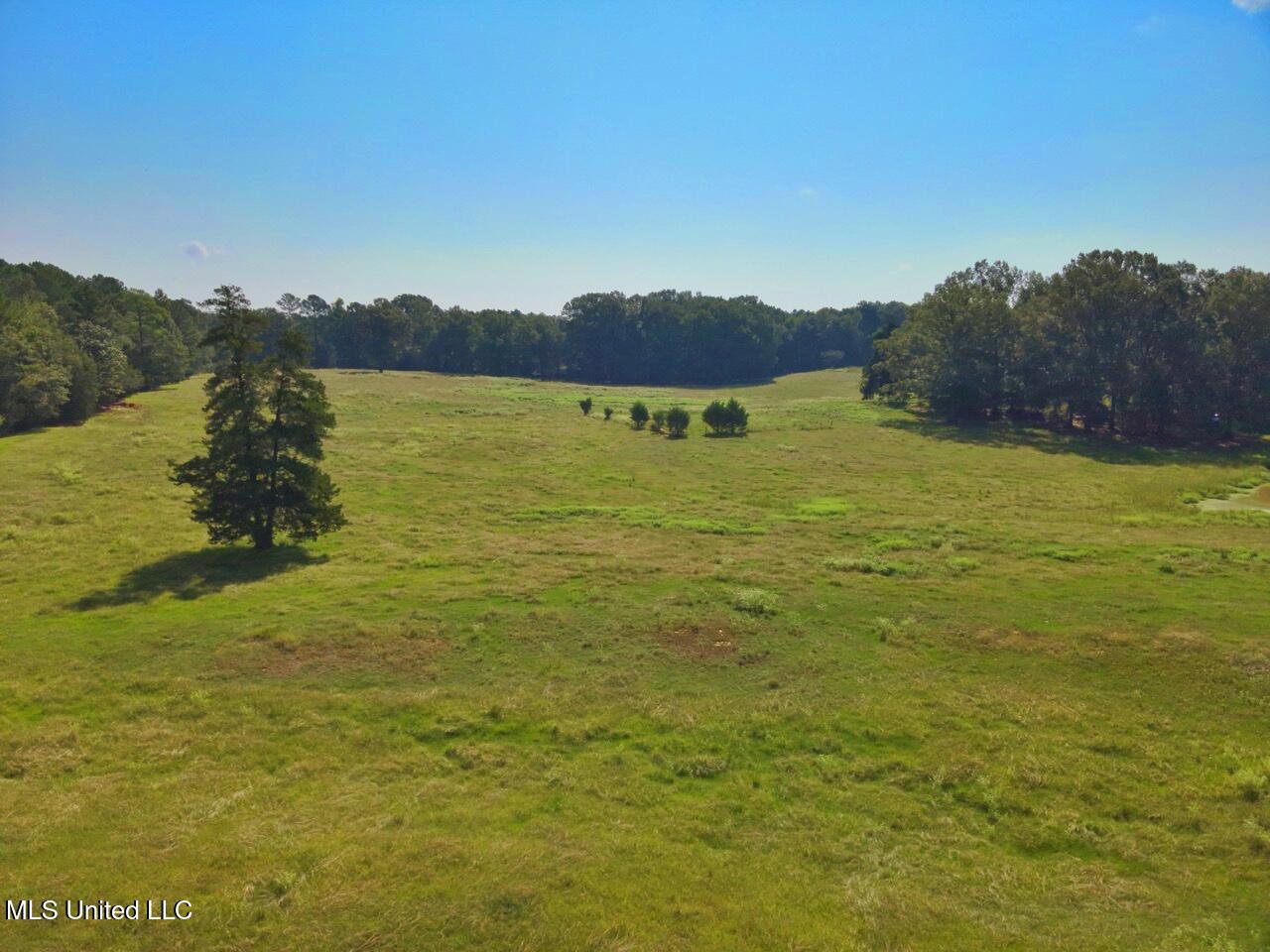 740 Linwood Road Vaughan, MS 39179 - Photo 8 of 12 DJI_20250904102842_0005_V Large