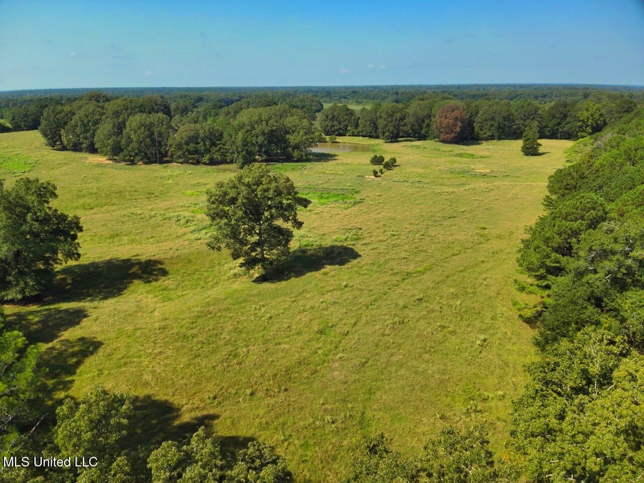 740 Linwood Road Vaughan, MS 39179 - Photo 9 of 12 DJI_20250904102946_0007_V Large