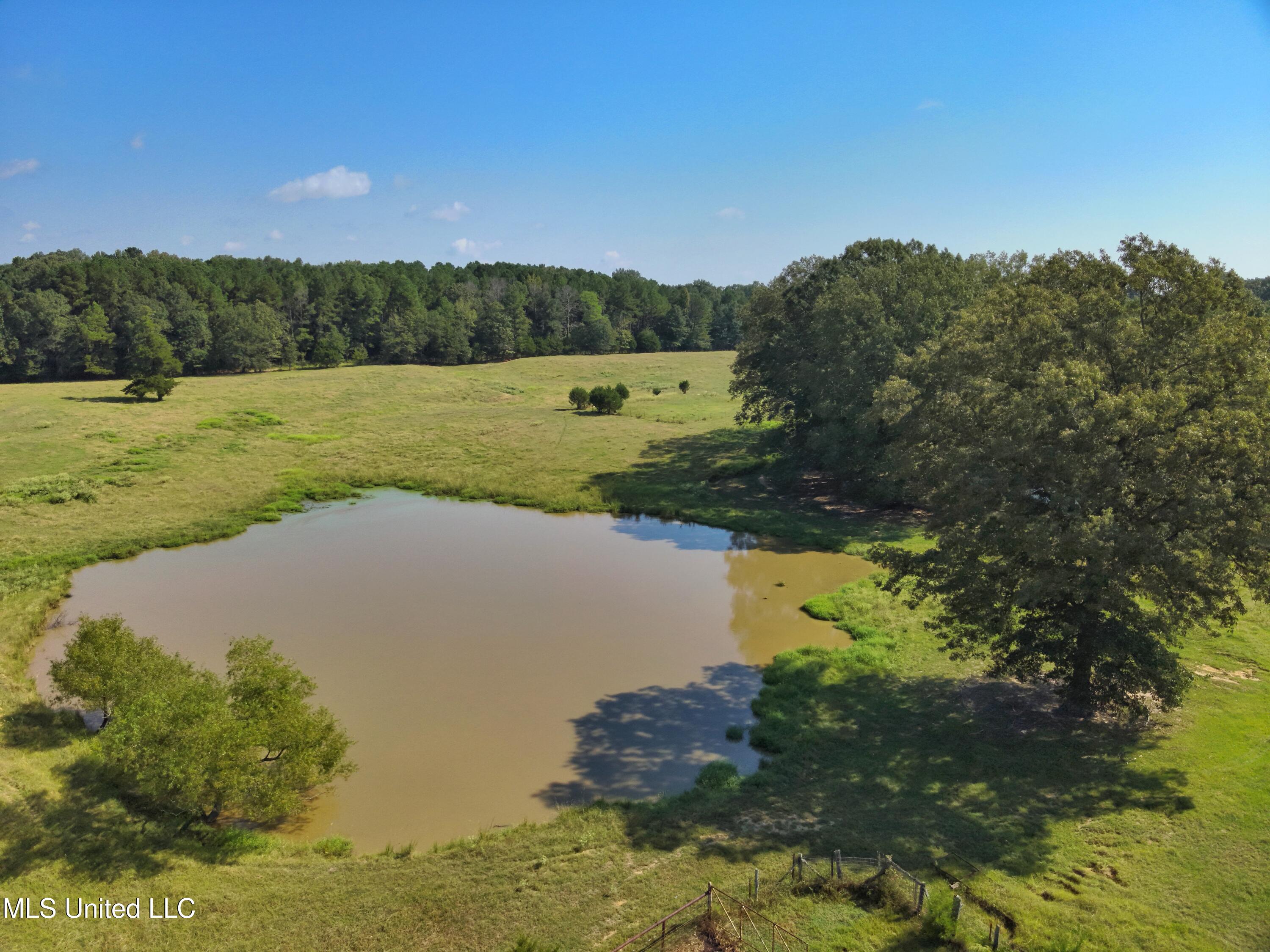 740 Linwood Road Vaughan, MS 39179 - Photo 10 of 12 DJI_20250904102624_0001_V