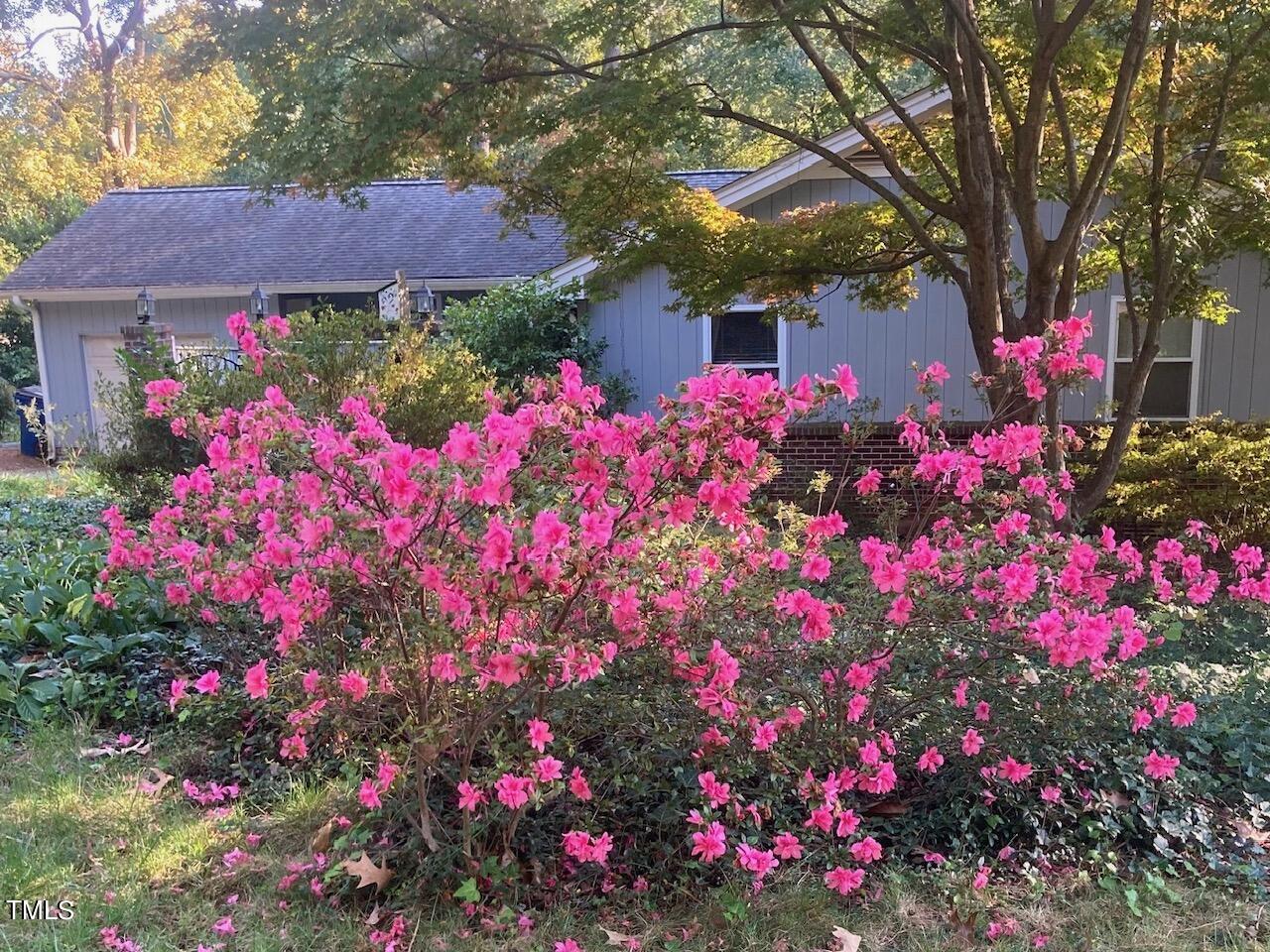 3603 Octavia Street Raleigh, NC 27606 - Photo 48 of 54 encore azaleas