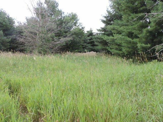 0 Lake George Road Leonard, MI 48428 - Photo 4 of 4