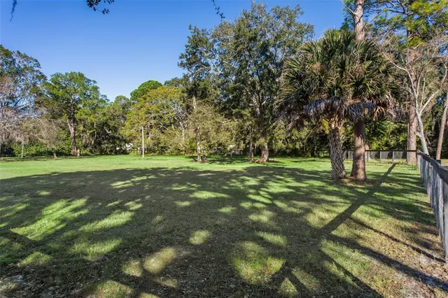a view of a trees with a yard