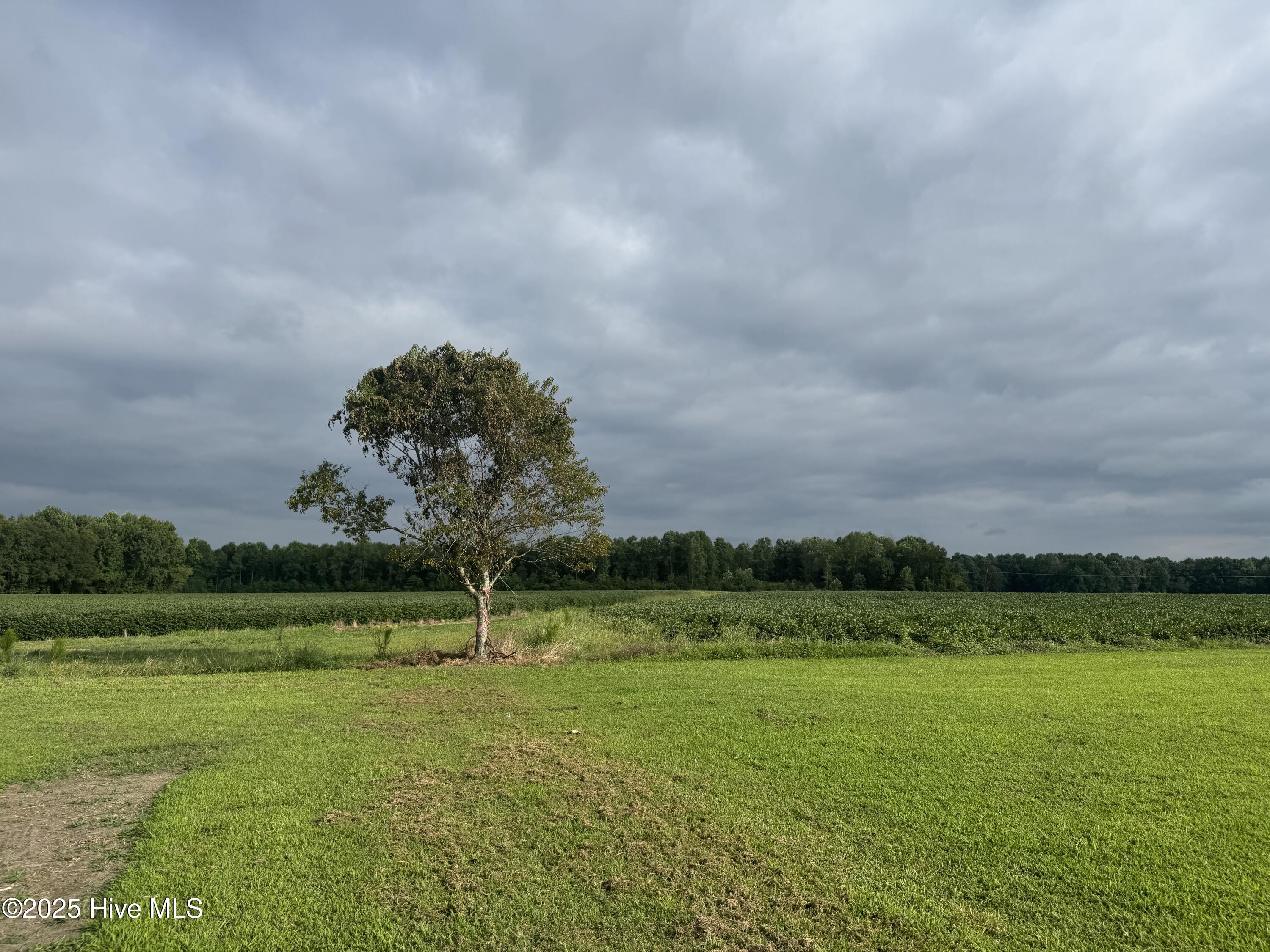 704 Wade Road Scotland Neck, NC 27874 - Photo 2 of 26 IMG_0755