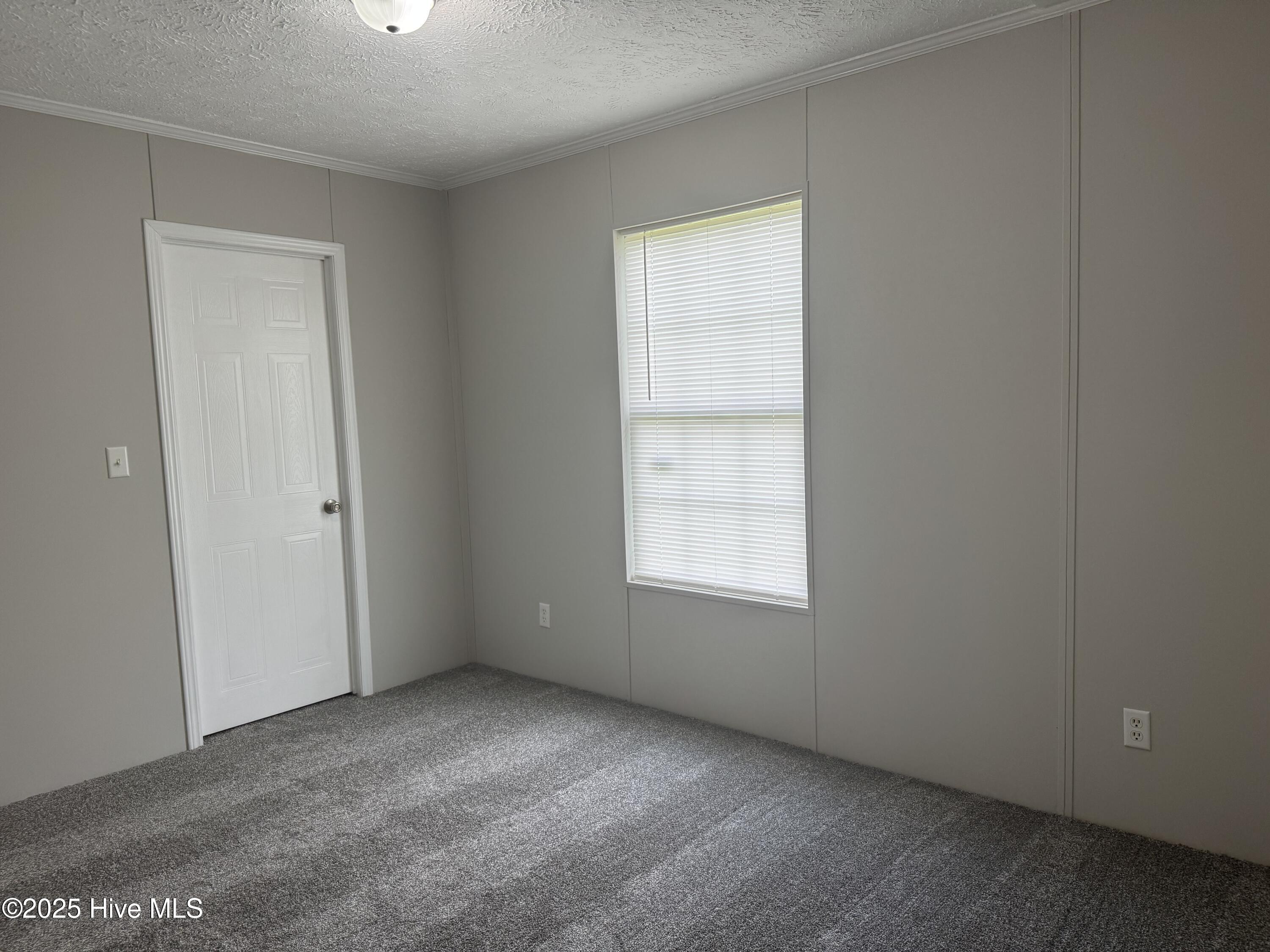 704 Wade Road Scotland Neck, NC 27874 - Photo 26 of 26 IMG_0750