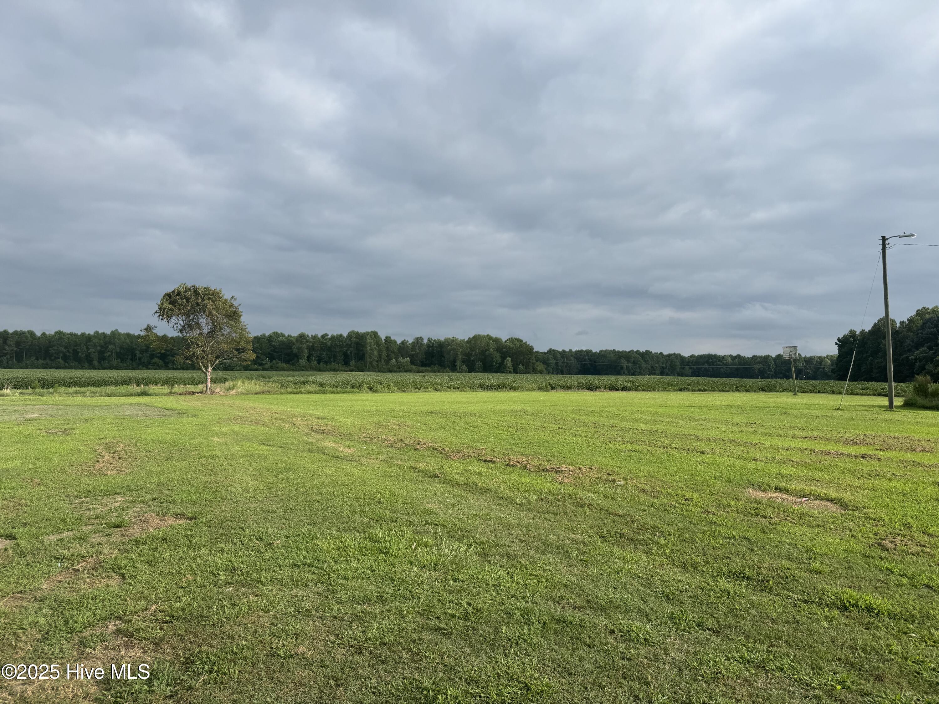 704 Wade Road Scotland Neck, NC 27874 - Photo 6 of 26 IMG_0754