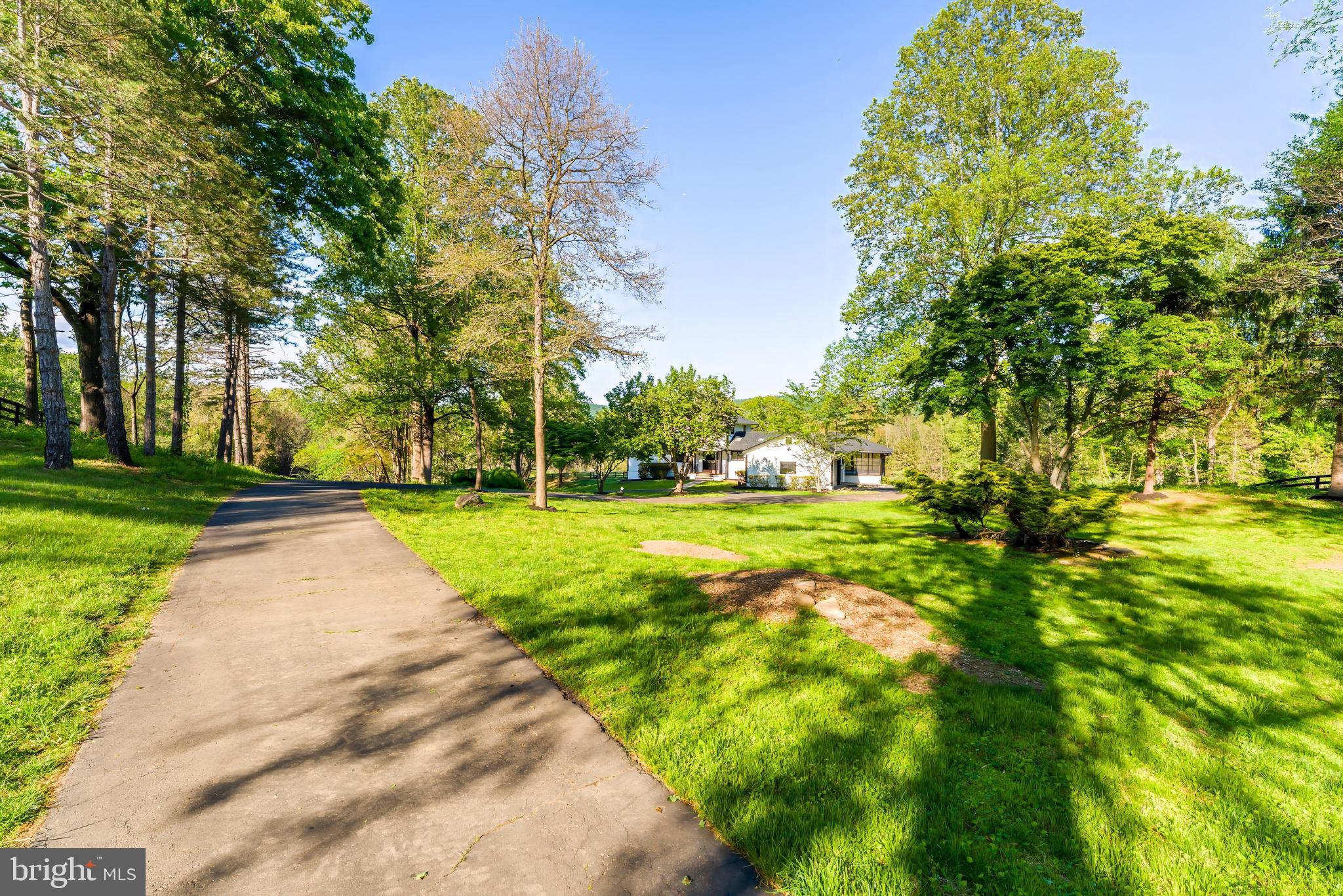 6891 Wilson Road Marshall, VA 20115 - Photo 101 of 118 Serene pathway through lush greenery.