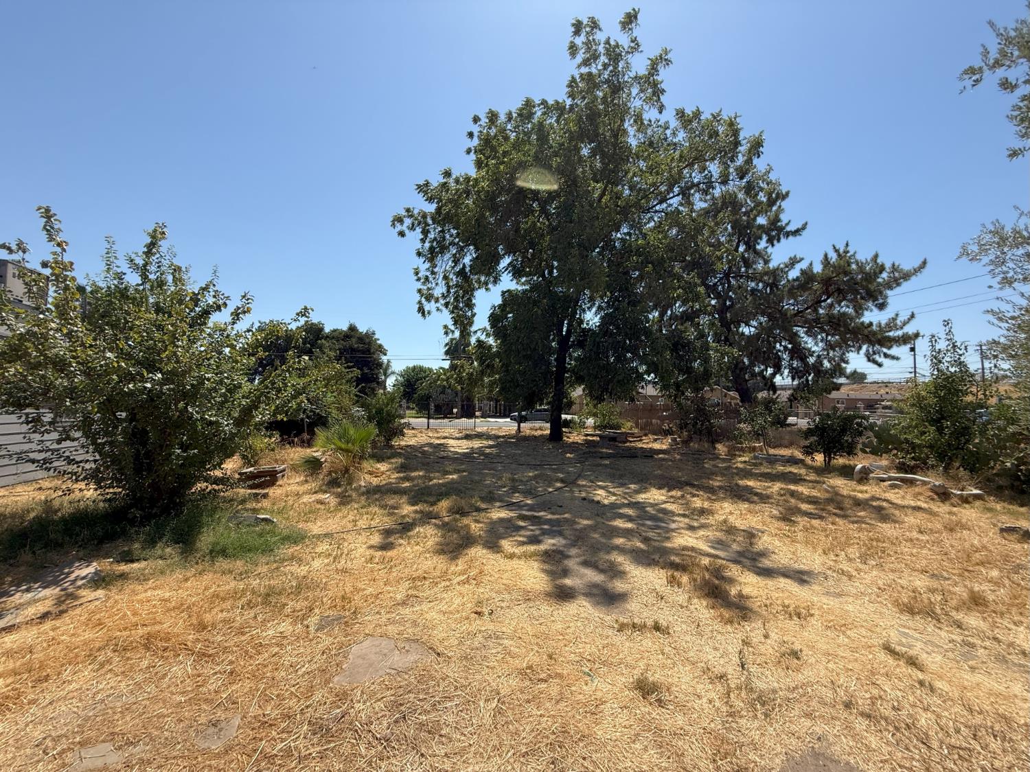 4021 Anna Avenue Keyes, CA 95328 - Photo 14 of 25 a view of a yard with trees