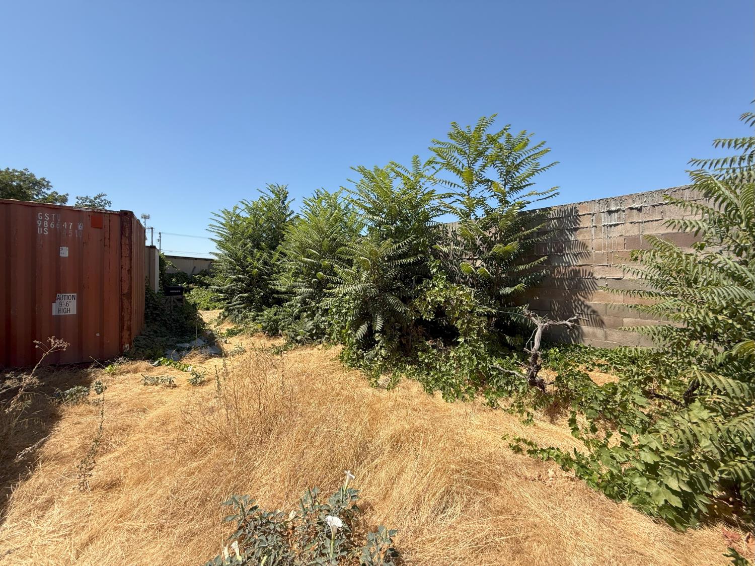 4021 Anna Avenue Keyes, CA 95328 - Photo 22 of 25 a view of a plants with a yard