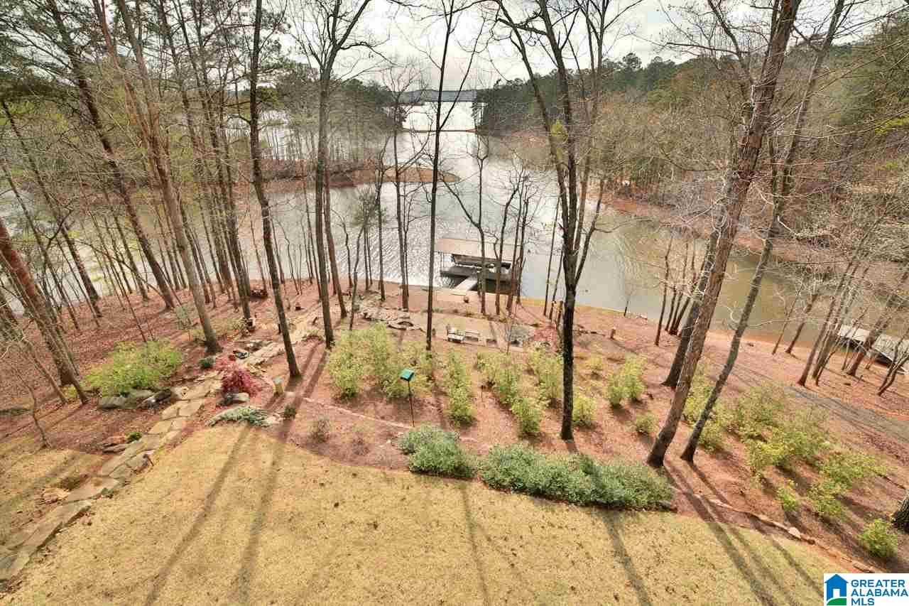 92 Red Eye Lane Wedowee, AL 36278 - Photo 35 of 48