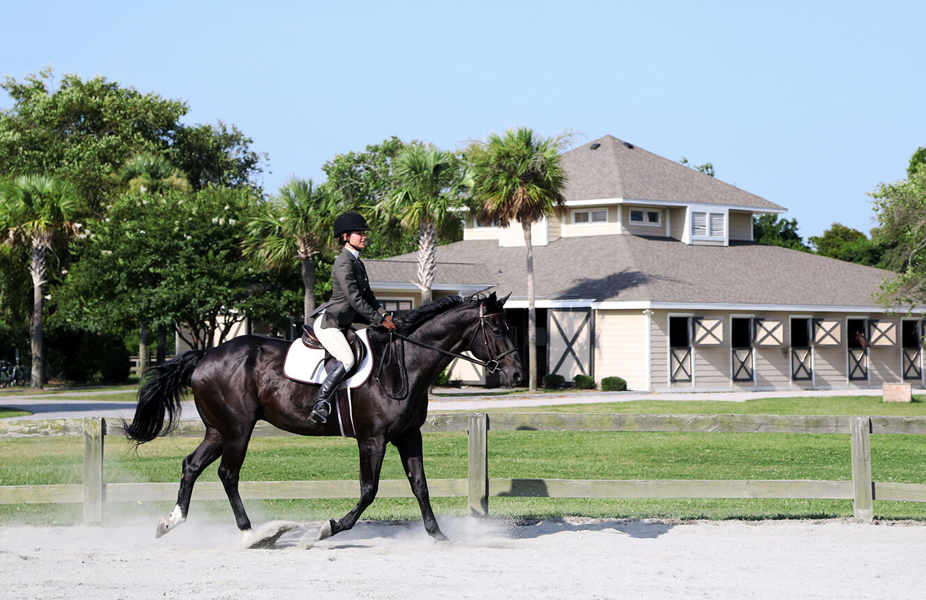 2515 Cat Tail Pond Road Seabrook Island, SC 29455 - Photo 108 of 121 50