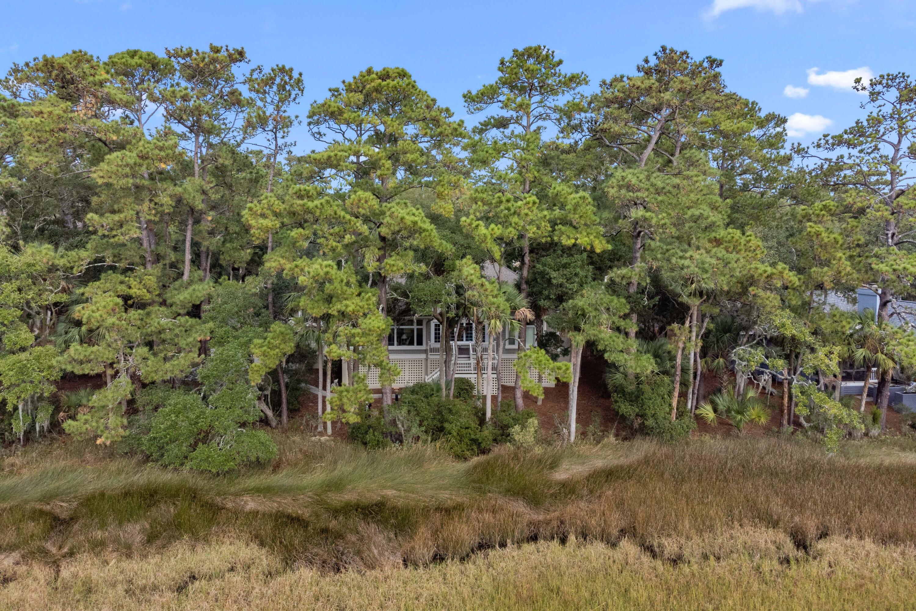 2515 Cat Tail Pond Road Seabrook Island, SC 29455 - Photo 3 of 121 2515-Cat-Tail-Pond-62