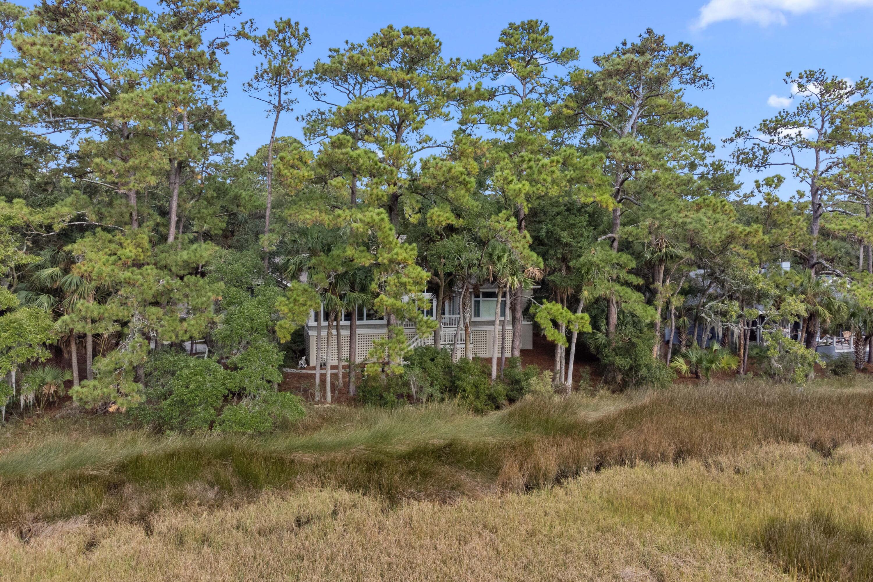 2515 Cat Tail Pond Road Seabrook Island, SC 29455 - Photo 57 of 121 2515-Cat-Tail-Pond-63