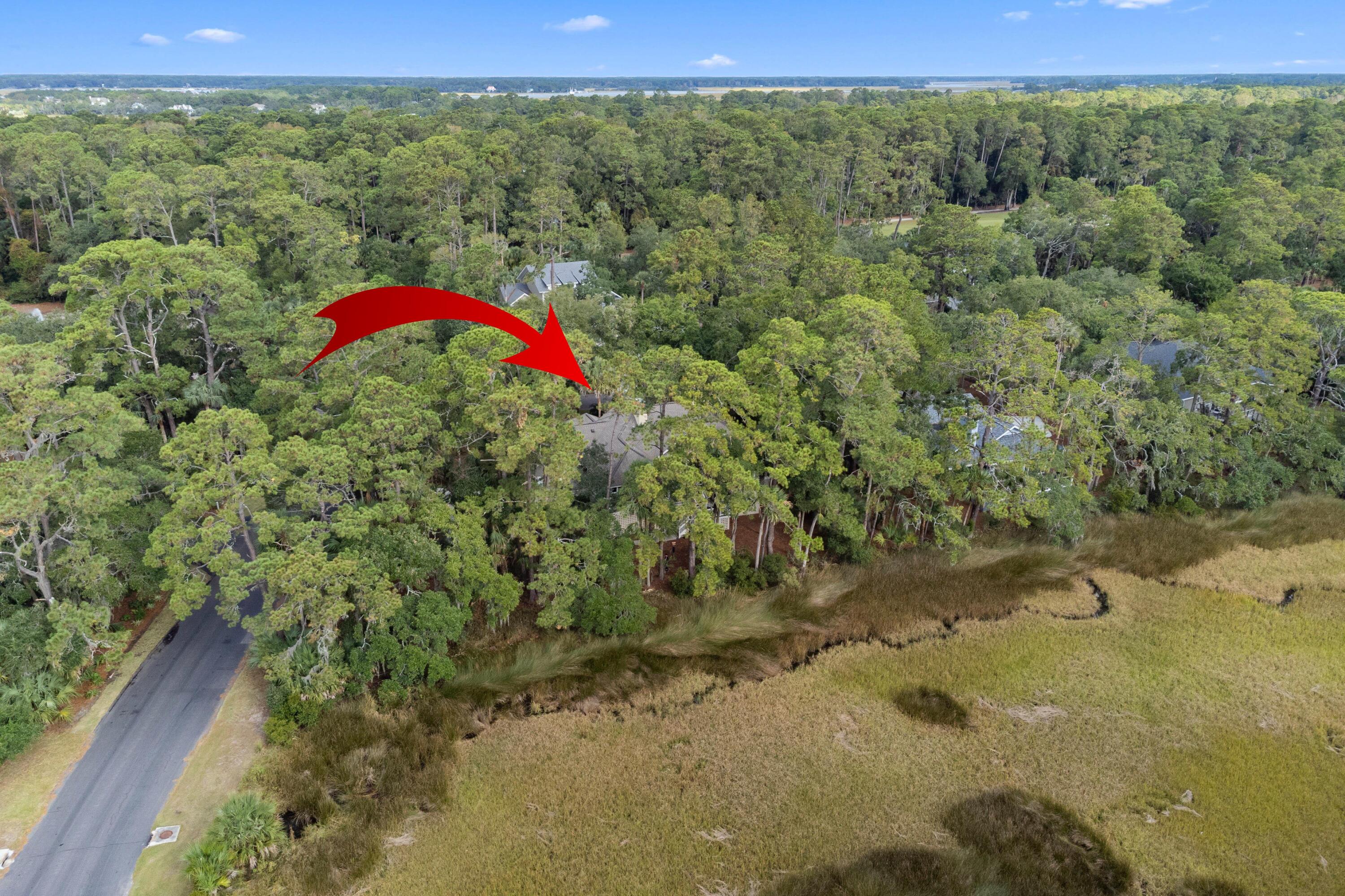 2515 Cat Tail Pond Road Seabrook Island, SC 29455 - Photo 58 of 121 2515-Cat-Tail-Pond-64